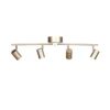 Correct Spotlight 4 Guld