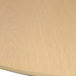 Ooid Matbord 220 cm Ovalt
